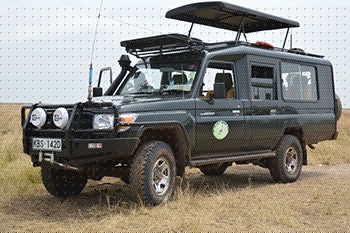 Land cruiser