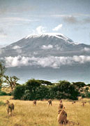 Mount Kenya